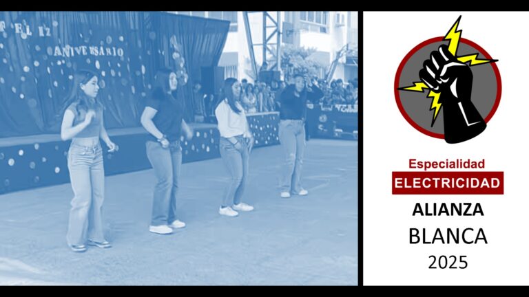 Presentacion Alianza Blanca 2025 – Electricidad